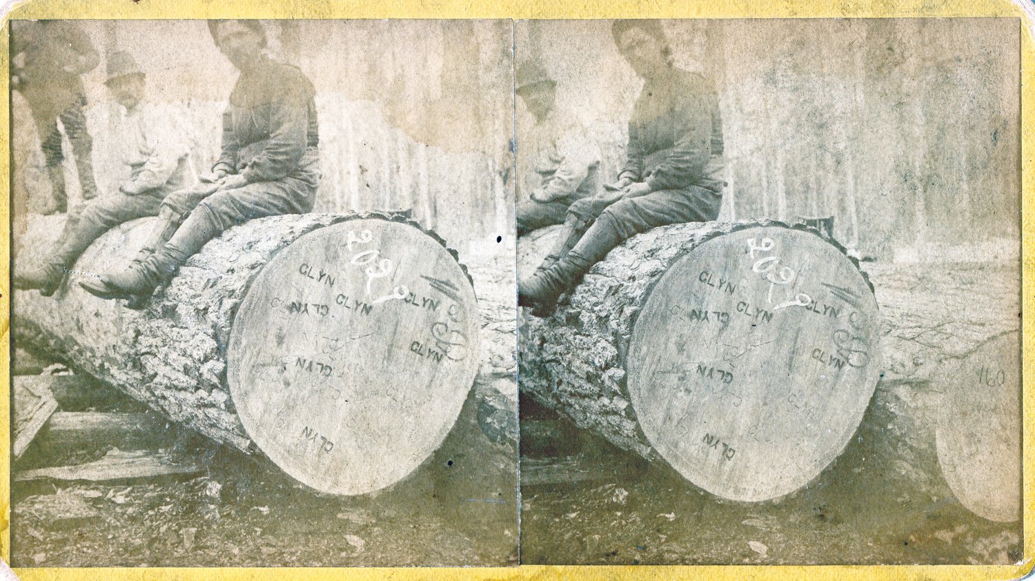 This stereo view is titled Champion Log and one of 12 in a set by Goodridge Brothers Studio of East Saginaw. Stereo views became popular as people began to use the world through photography. A stereoscopic camera has two lenses spaced approximately the distance between the human eyes apart and produces two separate photographs at the same moment. Printed and presented side-by-side and viewed in a stereo viewer a 3D image is created.